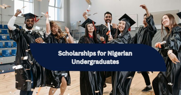 Scholarships for Nigerian Undergraduates